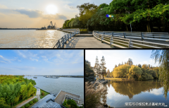 非焦点因总价更高